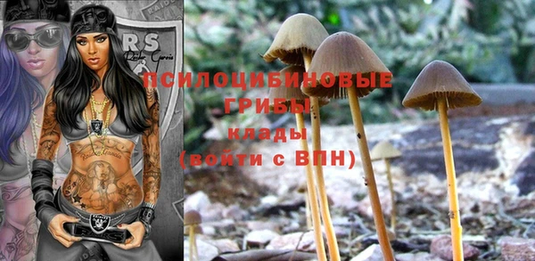 бошки Беломорск