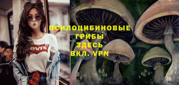 кокаин премиум Белокуриха