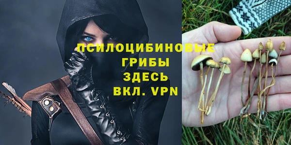 бошки Беломорск