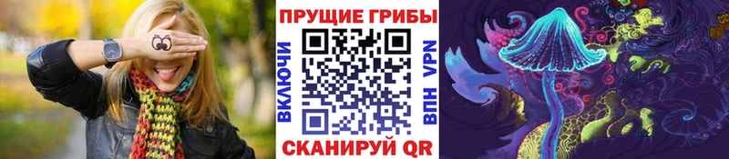 Галлюциногенные грибы MAGIC MUSHROOMS где можно купить наркотик mega ТОР Кувандык