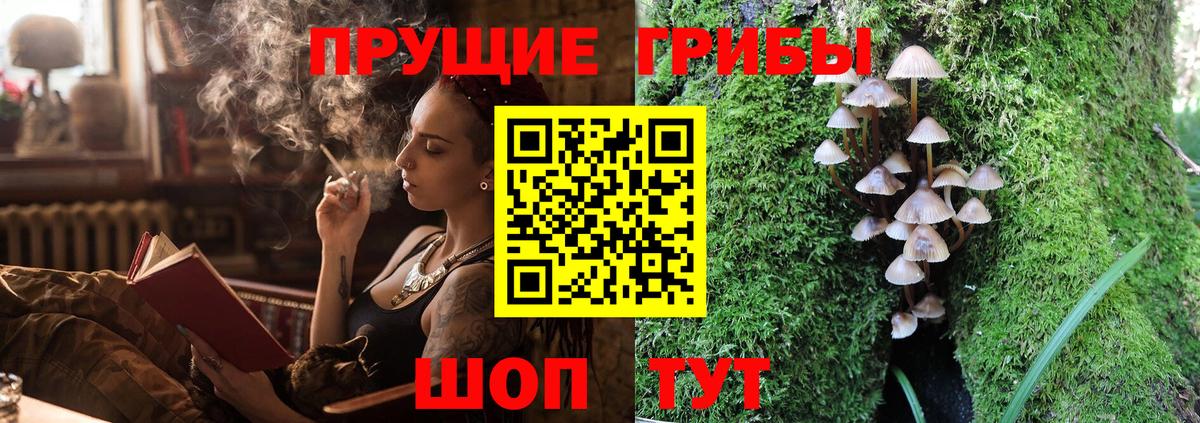 Кувандык  Галлюциногенные грибы GOLDEN TEACHER  Вход с VPN 