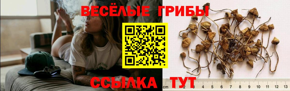 Галлюциногенные грибы MAGIC MUSHROOMS Кувандык